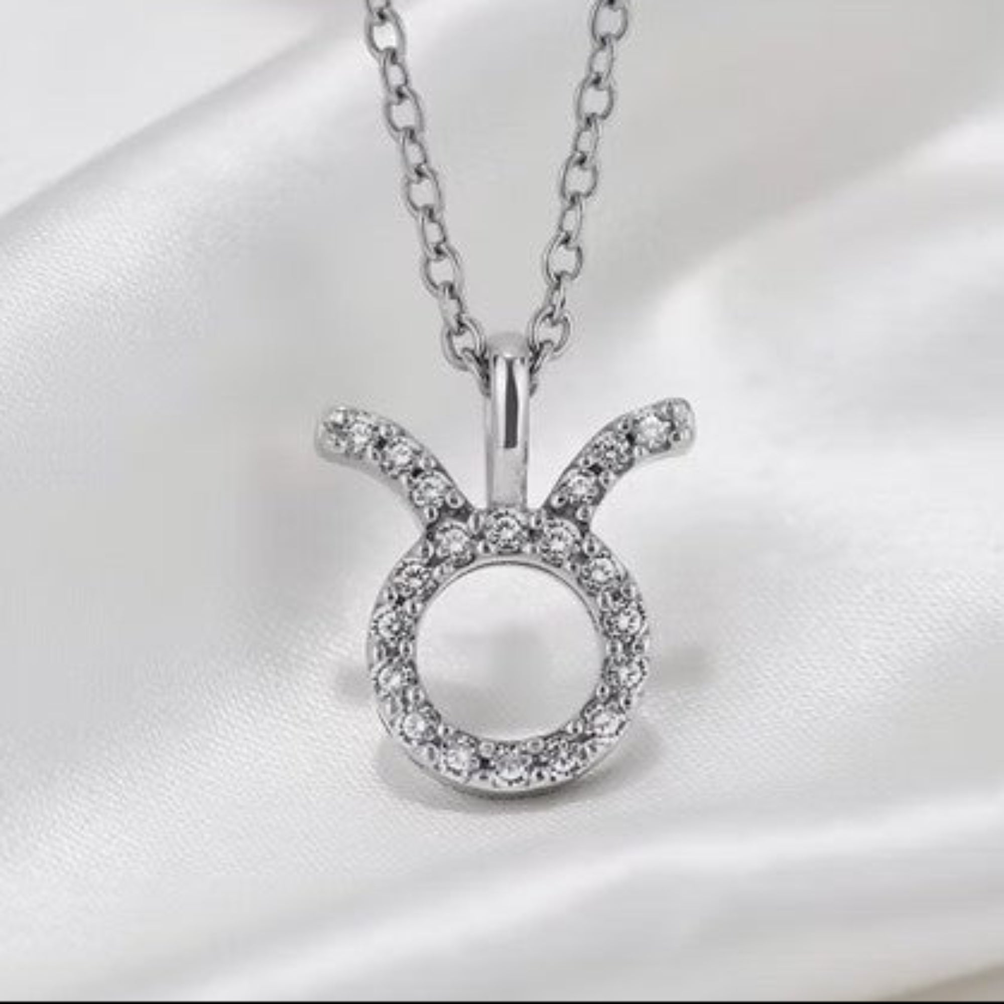 Silver Diamond Zodiac Pendant on Silk White Background